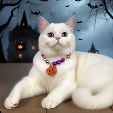 Load image into Gallery viewer, Halloween Adjustable Pet Collar with Iridescent Pearls Pumpkin Charm Puppy Kitten Necklace for Cats Dogs Princess Party Accessories