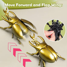 Load image into Gallery viewer, Mechanical Simulation Wind-Up Beetle Insect Model Realistic Movement Collection Display Curiosity Sparking Nature Lover's Gift Miniature Model