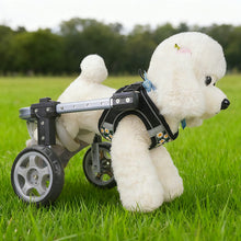 Load image into Gallery viewer, 2-Wheel/4-Wheel Pet Dog Wheelchair Fully Adjustable Rear Wheelchairs for Hind Limb Paralyzed Pet Handicapped Hind Legs Dogs Disabled Dog Cat Teddy Pet Bracket