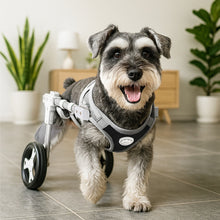 Load image into Gallery viewer, 2-Wheel/4-Wheel Pet Dog Wheelchair Fully Adjustable Rear Wheelchairs for Hind Limb Paralyzed Pet Handicapped Hind Legs Dogs Disabled Dog Cat Teddy Pet Bracket