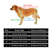 Load image into Gallery viewer, 2-Wheel/4-Wheel Pet Dog Wheelchair Fully Adjustable Rear Wheelchairs for Hind Limb Paralyzed Pet Handicapped Hind Legs Dogs Disabled Dog Cat Teddy Pet Bracket