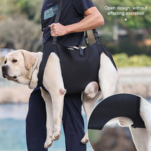 Load image into Gallery viewer, Dog Harness Traction Full Body Auxiliary Belt Shoulder Strap Adjustment For Outdoor Walking Weakness Rehabilitation Exercise