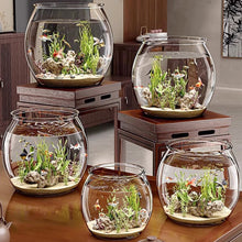 Load image into Gallery viewer, Transparent Round Ornamental Fish Tank Clear Guppy Tank Goldfish Small Fish Bowl Home Desk Decor Aquarium Hydroponic Planter