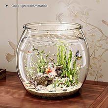 Load image into Gallery viewer, Transparent Round Ornamental Fish Tank Clear Guppy Tank Goldfish Small Fish Bowl Home Desk Decor Aquarium Hydroponic Planter