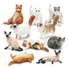 Load image into Gallery viewer, Cute Cat Figurine Collection Realistic Animal Model Desk Ornament Early Learning/Educational Animal Figure Toy For Kids Collectors Animal Enthusiasts
