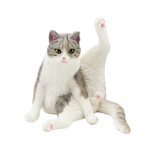 Load image into Gallery viewer, Cute Cat Figurine Collection Realistic Animal Model Desk Ornament Early Learning/Educational Animal Figure Toy For Kids Collectors Animal Enthusiasts