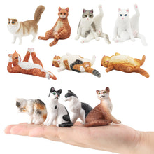 Load image into Gallery viewer, Cute Cat Figurine Collection Realistic Animal Model Desk Ornament Early Learning/Educational Animal Figure Toy For Kids Collectors Animal Enthusiasts