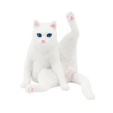Load image into Gallery viewer, Cute Cat Figurine Collection Realistic Animal Model Desk Ornament Early Learning/Educational Animal Figure Toy For Kids Collectors Animal Enthusiasts