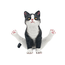 Load image into Gallery viewer, Cute Cat Figurine Collection Realistic Animal Model Desk Ornament Early Learning/Educational Animal Figure Toy For Kids Collectors Animal Enthusiasts