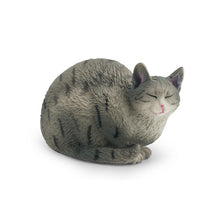 Load image into Gallery viewer, Cute Cat Figurine Collection Realistic Animal Model Desk Ornament Early Learning/Educational Animal Figure Toy For Kids Collectors Animal Enthusiasts
