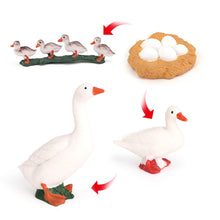 Load image into Gallery viewer, Educational Life Cycle Toys Realistic Animal Models Collection Insect Frog Spider Ducks Geese Crocodile Octopus Life Cycle Learning Desk Ornaments