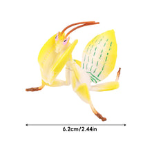 Load image into Gallery viewer, Realistic Mantis Replica Grasshopper Insect Model Animal Figurine Educational Toy Home Desktop Display Collection for Kids Science Classroom Supply