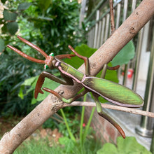 Load image into Gallery viewer, Realistic Mantis Replica Grasshopper Insect Model Animal Figurine Educational Toy Home Desktop Display Collection for Kids Science Classroom Supply