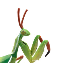 Load image into Gallery viewer, Realistic Mantis Replica Grasshopper Insect Model Animal Figurine Educational Toy Home Desktop Display Collection for Kids Science Classroom Supply