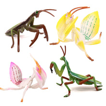 Load image into Gallery viewer, Realistic Mantis Replica Grasshopper Insect Model Animal Figurine Educational Toy Home Desktop Display Collection for Kids Science Classroom Supply