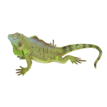 Load image into Gallery viewer, Realistic Lizard Statue Green Iguana Frilled Monitor Lizard Collectible Desktop Display Educational Tool For Kids Animal Enthusiasts Science Classroom