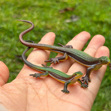 Load image into Gallery viewer, Realistic Lizard Statue Green Iguana Frilled Monitor Lizard Collectible Desktop Display Educational Tool For Kids Animal Enthusiasts Science Classroom