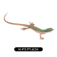 Load image into Gallery viewer, Realistic Lizard Statue Green Iguana Frilled Monitor Lizard Collectible Desktop Display Educational Tool For Kids Animal Enthusiasts Science Classroom