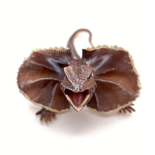 Load image into Gallery viewer, Realistic Lizard Statue Green Iguana Frilled Monitor Lizard Collectible Desktop Display Educational Tool For Kids Animal Enthusiasts Science Classroom