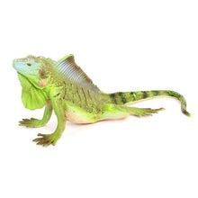 Load image into Gallery viewer, Realistic Lizard Statue Green Iguana Frilled Monitor Lizard Collectible Desktop Display Educational Tool For Kids Animal Enthusiasts Science Classroom
