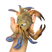 Load image into Gallery viewer, Simulation Octopus Crab Marine Figures Realistic Sea Animal Model for Kids Education Desktop Decor Collection Christmas Festival Gifts