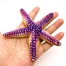 Load image into Gallery viewer, Simulation Octopus Crab Marine Figures Realistic Sea Animal Model for Kids Education Desktop Decor Collection Christmas Festival Gifts