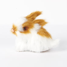 Load image into Gallery viewer, Simulation Rabbit Plush Toy Children Cognition Chicken Model Figurine Realistic Furry Animal Doll Easter Gift Kids