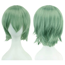 Load image into Gallery viewer, Anime Short Straight Cosplay Wig Black White Green Brown Purple Blue Gray Red Gold Man Women Heat Resistant Synthetic Hair