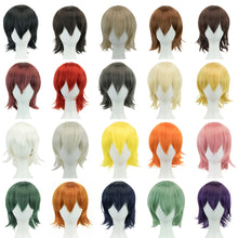Load image into Gallery viewer, Anime Short Straight Cosplay Wig Black White Green Brown Purple Blue Gray Red Gold Man Women Heat Resistant Synthetic Hair