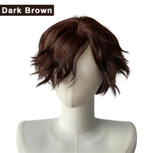 Load image into Gallery viewer, Black Short Wig Synthetic High Temperature Wig Men's Wigs for Cosplay Anime Party Daily Wig Realistic Natural Wig Cover Hair