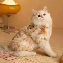 Load image into Gallery viewer, 2.5-7kg Warm Cat Vest Kawaii Winter Cat/Dog Clothing Soft Fabric Pet Fashion Vest Pet Accessories for Winter