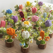 Load image into Gallery viewer, Hand-Knitted Rose Flowers Handmade Crocheted Flowers Bouquets Wooden flowerpot Desktop Ornament Home Decoration Valentine's Day Gift