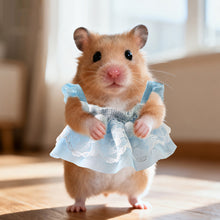 Load image into Gallery viewer, Four Seasons Little Pet Golden Hamster Clothes Mouse Mini Woolen Knitted Skirt Costume Pet Vest