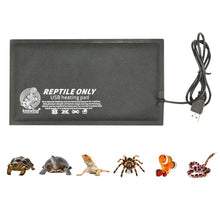 Load image into Gallery viewer, USB Interface Carbon Fiber Heating Pad Reptile Pet Autumn Winter Heating Pad Washable Heating Sheet