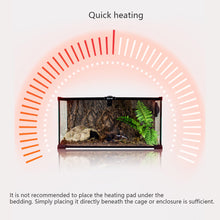 Load image into Gallery viewer, American Standard 5-45W Reptiles Heat Mat Climbing Pet Heating Warm Pads Adjustable Temperature Pet Reptile Thermal Insulation Equipment