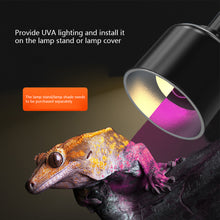 Load image into Gallery viewer, 25W 50W 75W 100W UVA Reptiles Heating Night Light Heating Bulb Turtles Lizards Snakes Reptiles Supplies