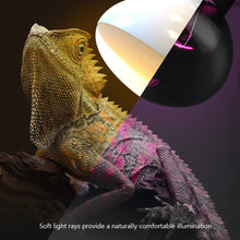Load image into Gallery viewer, 25W 50W 75W 100W UVA Reptiles Heating Night Light Heating Bulb Turtles Lizards Snakes Reptiles Supplies