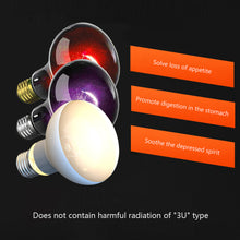 Load image into Gallery viewer, 25W 50W 75W 100W UVA Reptiles Heating Night Light Heating Bulb Turtles Lizards Snakes Reptiles Supplies