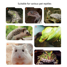 Load image into Gallery viewer, 25W 50W 75W 100W UVA Reptiles Heating Night Light Heating Bulb Turtles Lizards Snakes Reptiles Supplies