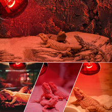 Load image into Gallery viewer, 25W 50W 75W 100W UVA Reptiles Heating Night Light Heating Bulb Turtles Lizards Snakes Reptiles Supplies
