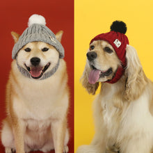 Load image into Gallery viewer, Knitted Pet Hat Cap Dog Cat Winter Scarf Cap Suit Funny Warm Pet Beanie Clothing Large dog Labrador Golden Retriever Cap Winter Pet Accessory
