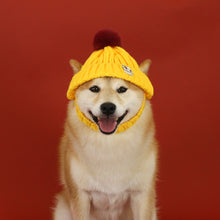 Load image into Gallery viewer, Knitted Pet Hat Cap Dog Cat Winter Scarf Cap Suit Funny Warm Pet Beanie Clothing Large dog Labrador Golden Retriever Cap Winter Pet Accessory