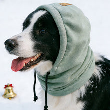 Load image into Gallery viewer, Pet Dog Windproof Warm Hat Calming Earmuffs Noise Proof Anti Cold Adjustable Anxiety Relief Pet Headgear
