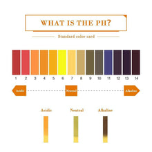 Load image into Gallery viewer, Universal pH Test Paper 1-14 Full Range Strips Litmus Paper for Water Testing High Accuracy Acid Alkaline Indicator Strips Lab Home Aquarium Pool Use