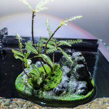 Load image into Gallery viewer, Floating Stone Aquarium Decoration Natural Look Fish Tank Ornament with Hideout Cave Floating Rock for Aquascape Pond or Reptile Tank