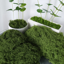 Load image into Gallery viewer, Artificial Moss Mat Fake Grass for Terrarium Decoration Miniature Landscape Turf for DIY Craft Fairy Garden Supply Bonsai Pot Cover