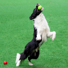 Load image into Gallery viewer, High Bounce Solid Rubber Dog Chew Ball Durable Fetch Toy for Small Medium Large Dogs Indoor Outdoor Play Pet Supplies