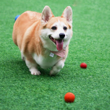 Load image into Gallery viewer, High Bounce Solid Rubber Dog Chew Ball Durable Fetch Toy for Small Medium Large Dogs Indoor Outdoor Play Pet Supplies