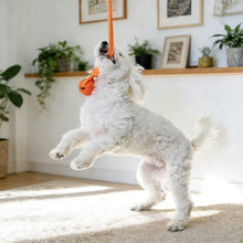 Load image into Gallery viewer, Solid Rubber Rope Ball Dog Toy Bite Resistant Chew Ball with Rope Handle for Interactive Tug of War & Outdoor Fetch Training Toy for Medium Large Dogs