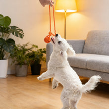 Load image into Gallery viewer, Solid Rubber Rope Ball Dog Toy Bite Resistant Chew Ball with Rope Handle for Interactive Tug of War & Outdoor Fetch Training Toy for Medium Large Dogs